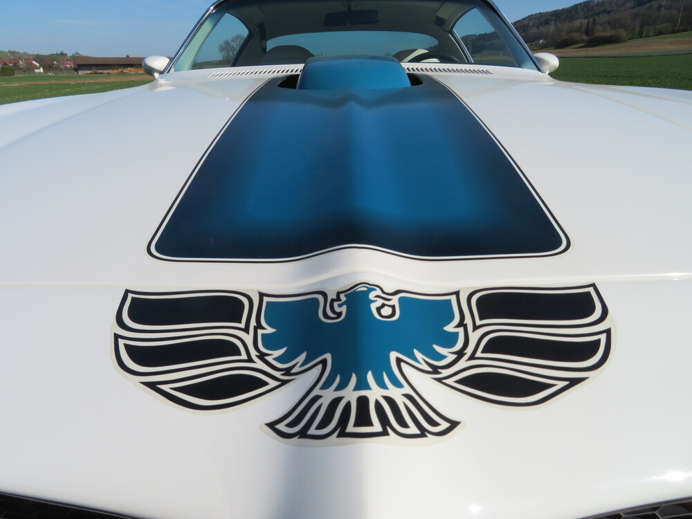 Pontiac Firebird Trans Am 455 H.O. Coupé